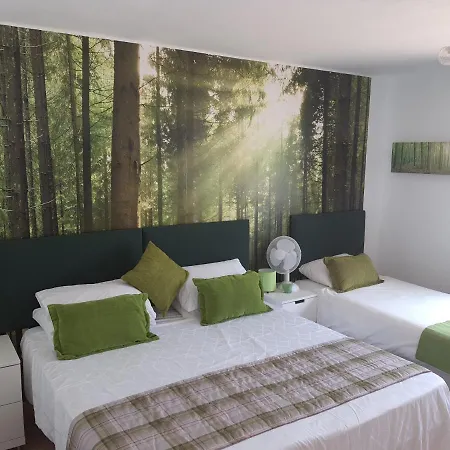 Homestay Room With A View Guime